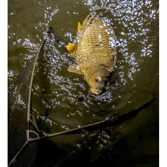 Filet Sonik DominatorX 42 Pouces 8 Pieds. 2 Pièces – Image 2